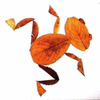 20款树叶拼贴画，幼儿园作业素材给你准备好了，假期陪孩子做起来