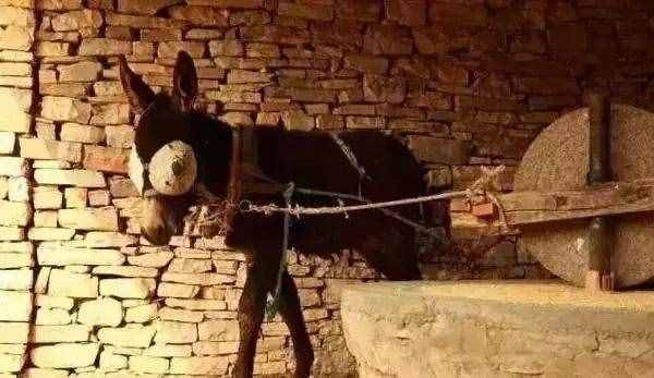 除了大名鼎鼎的盘山，蓟州还有哪些值得一游的景区？