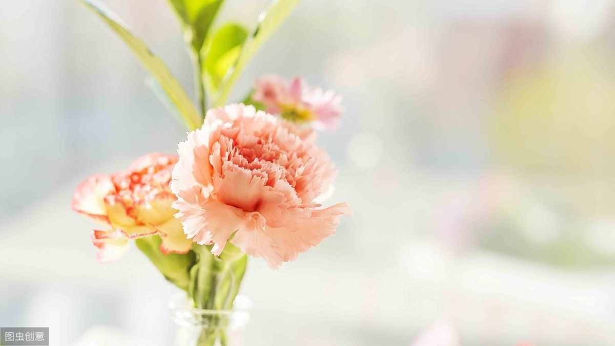 想说爱你，却只能在心里 （伤感爱情美文欣赏）