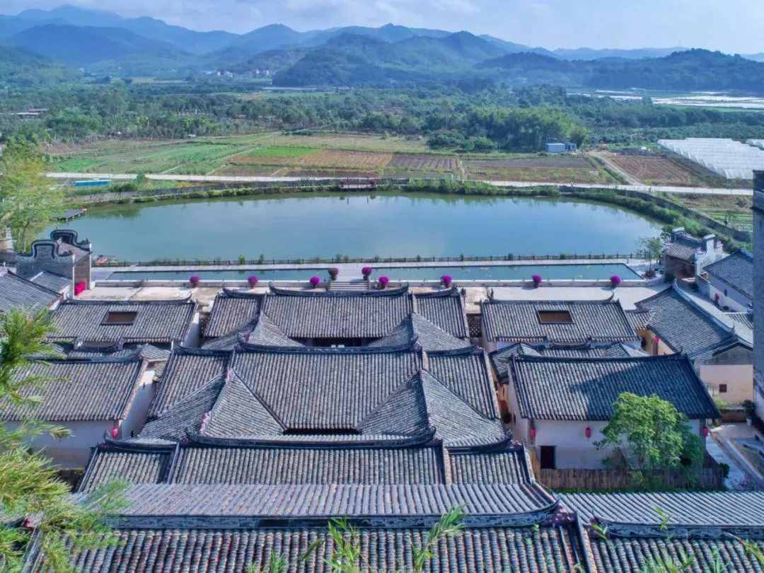 2021必盘广州最美民宿，趁还没火快去睡