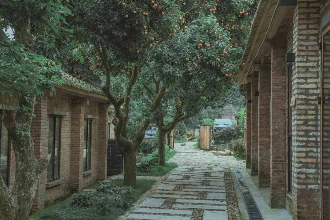 2021必盘广州最美民宿，趁还没火快去睡