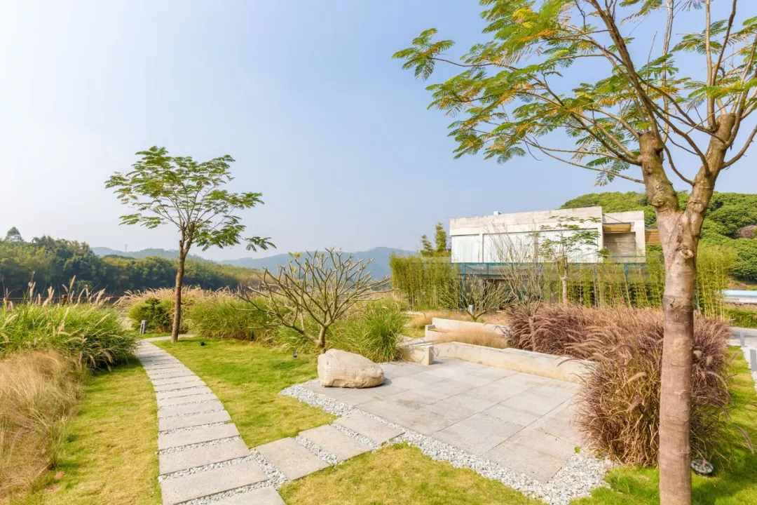 2021必盘广州最美民宿，趁还没火快去睡