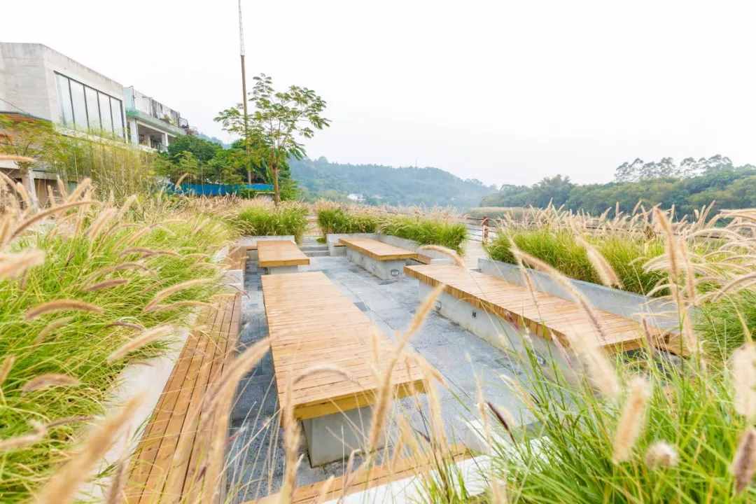 2021必盘广州最美民宿，趁还没火快去睡