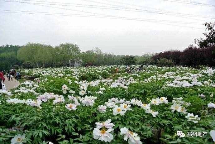 谁说郑州没有好玩的地方，且看这41个公园和场馆