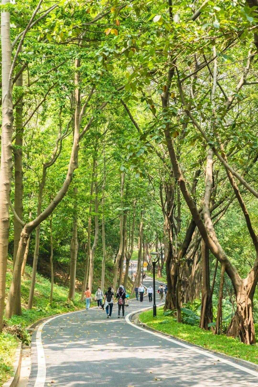 说走就走！广州2条一日游逛吃线路，都替你们规划好了