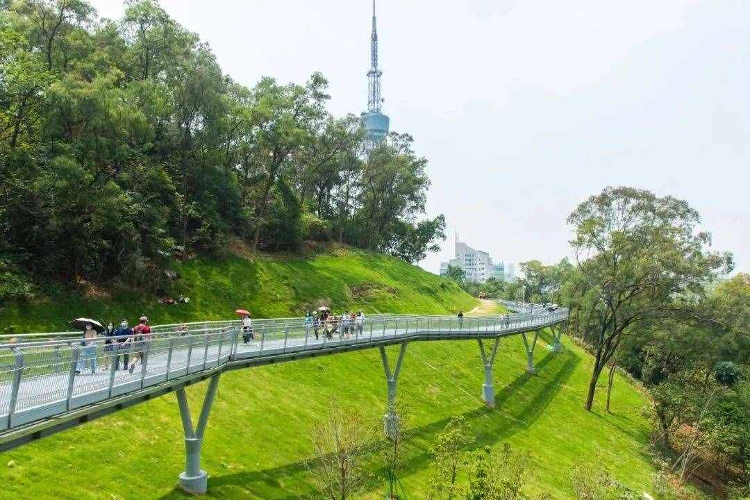 说走就走！广州2条一日游逛吃线路，都替你们规划好了