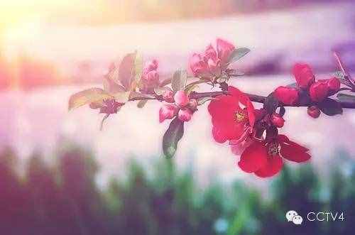 四月，值得你关注的日子