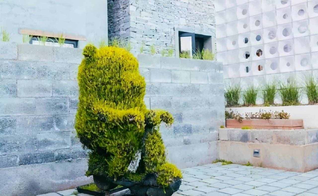 民宿-最贵居然要2w一晚？！盘点全国最贵的民宿（上）