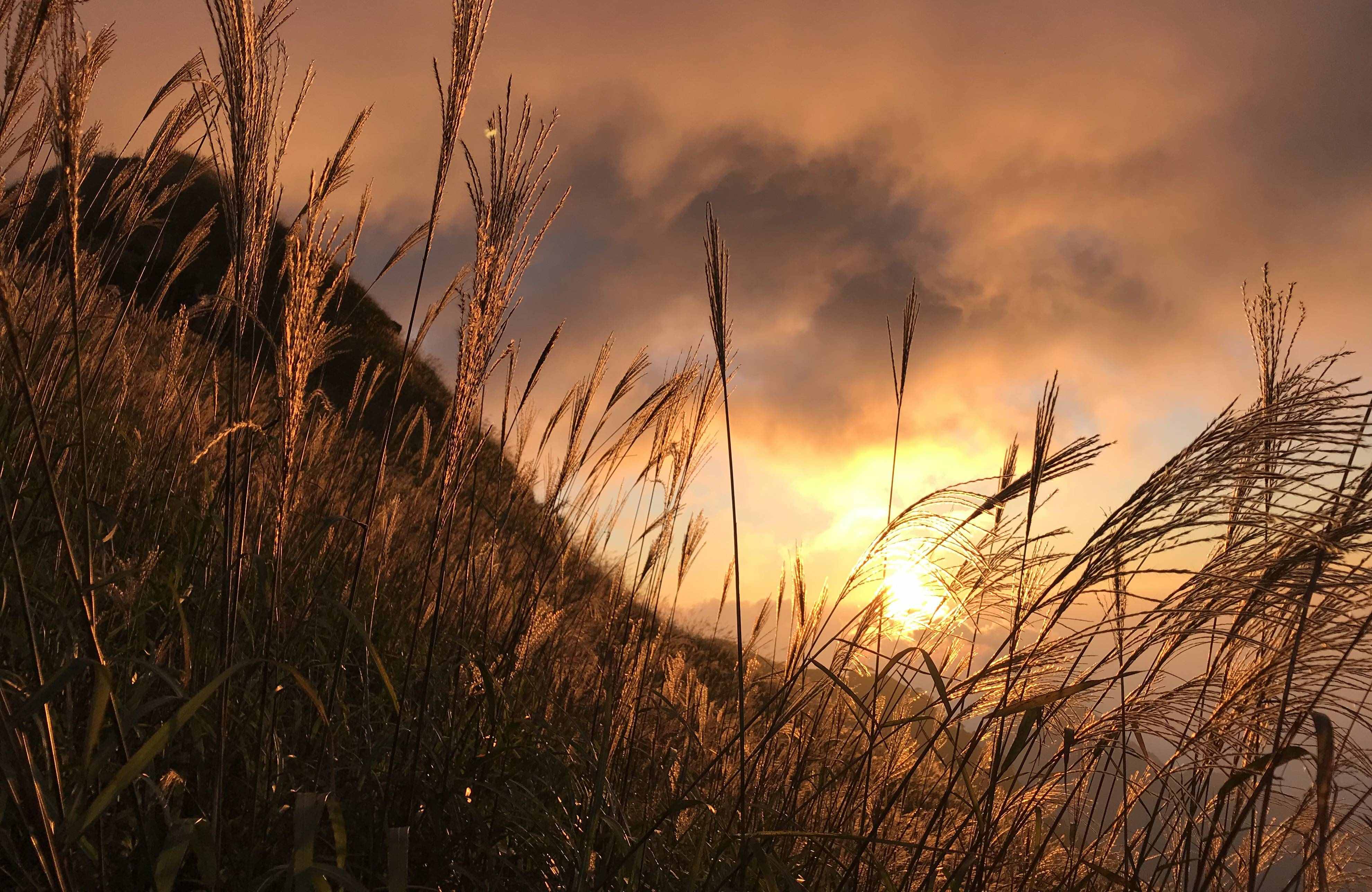 最全武功山攻略：穷游，一日游，二日游，徒步路线，露营，客栈预定...