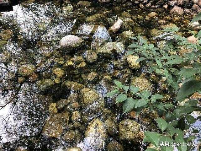 小暑将至，明日逢空，俗语：“日子逢空，万物减半”，是啥意思？