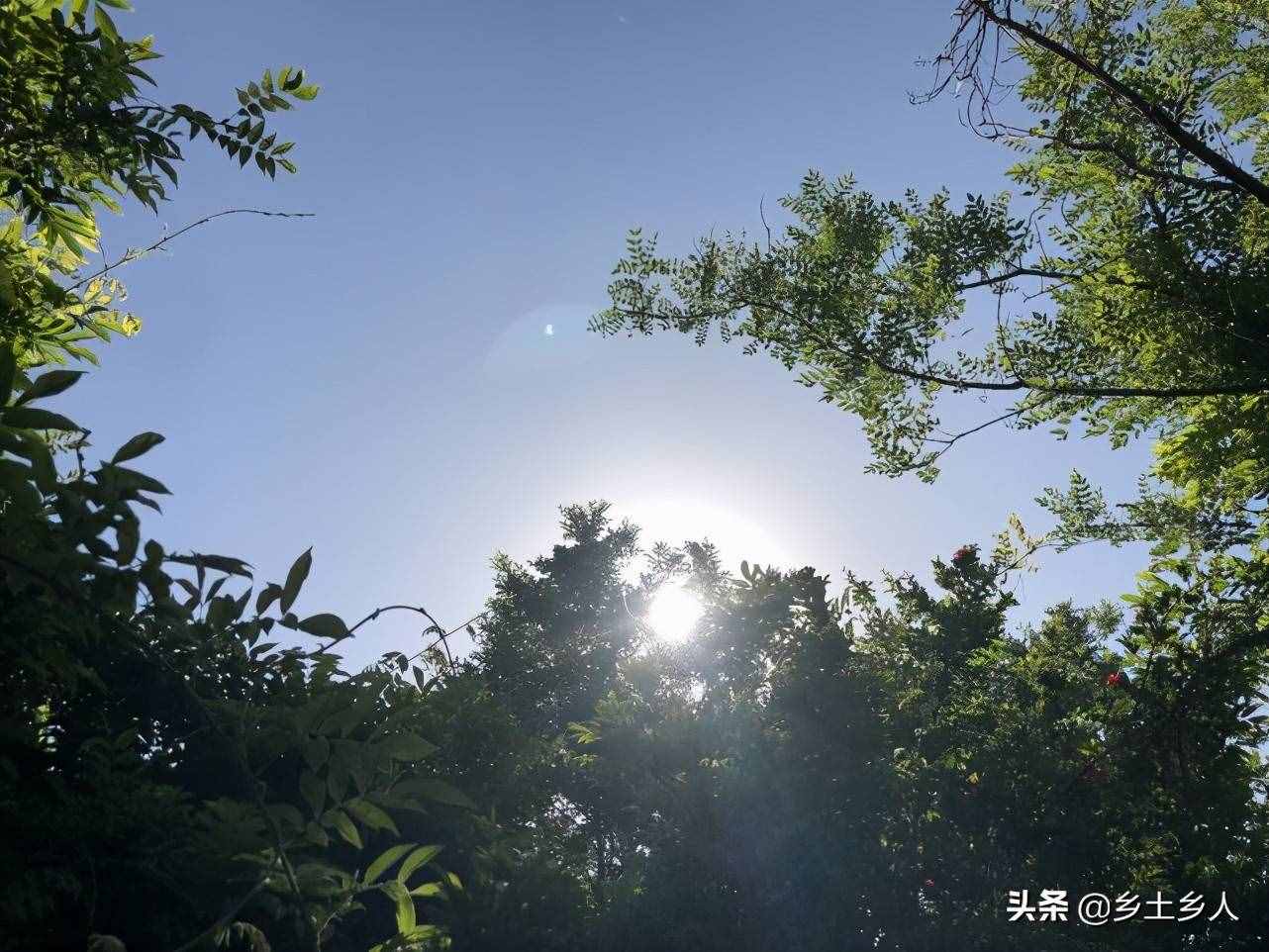 小暑将至，明日逢空，俗语：“日子逢空，万物减半”，是啥意思？