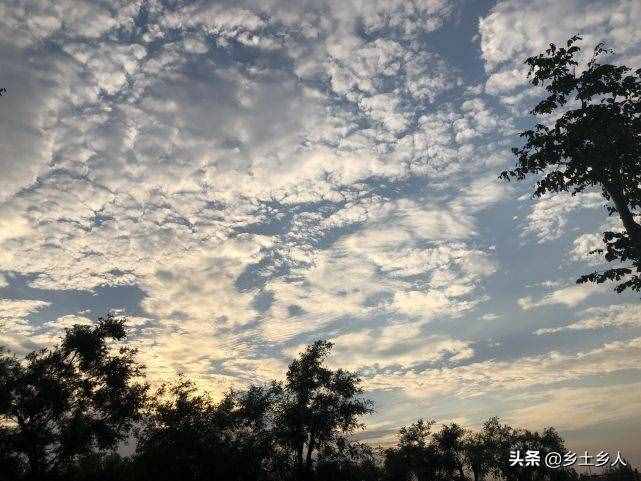 小暑将至，明日逢空，俗语：“日子逢空，万物减半”，是啥意思？