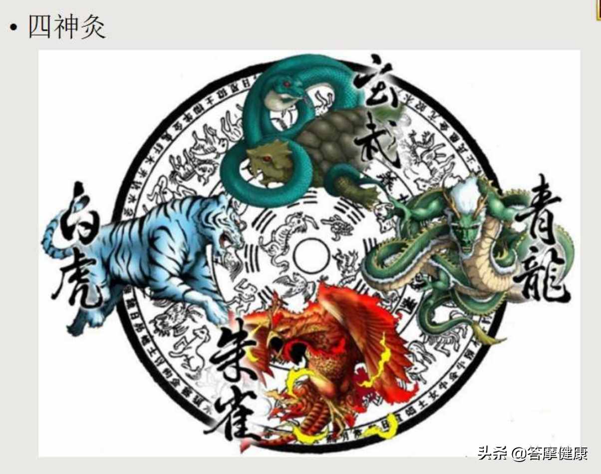 道家灸法——四神灸，神在哪里？
