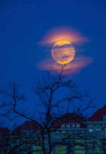 「诗词鉴赏」八首月夜诗词，月华初上，你在思念谁？