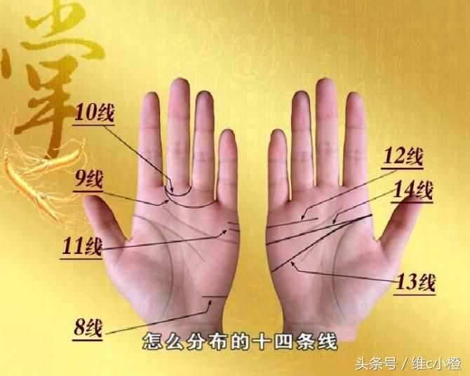 看手相不求人，解析手相秘诀看了你也能掌握身体事业命运和爱情