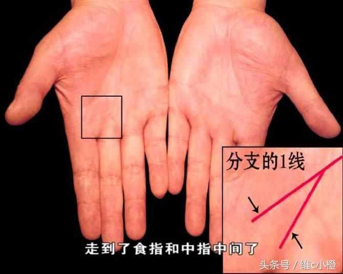 看手相不求人，解析手相秘诀看了你也能掌握身体事业命运和爱情