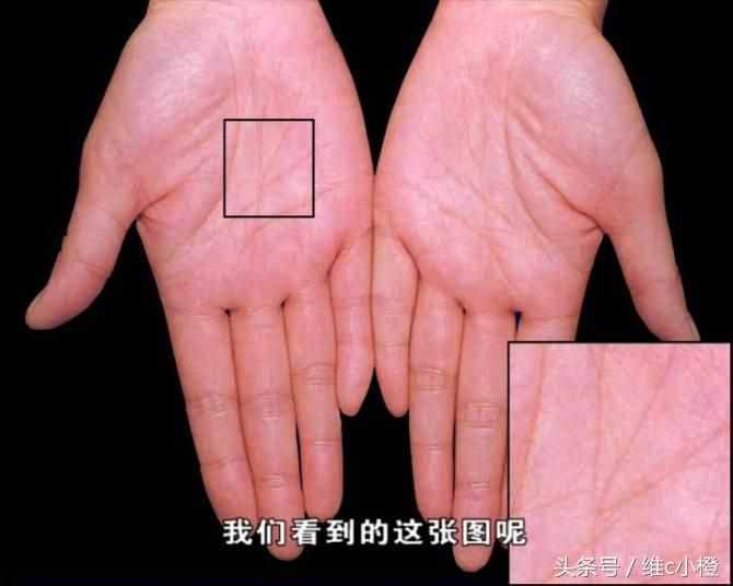 看手相不求人，解析手相秘诀看了你也能掌握身体事业命运和爱情