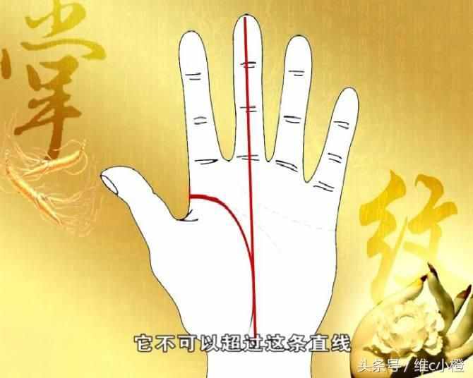 看手相不求人，解析手相秘诀看了你也能掌握身体事业命运和爱情