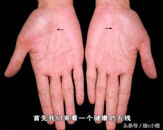 看手相不求人，解析手相秘诀看了你也能掌握身体事业命运和爱情
