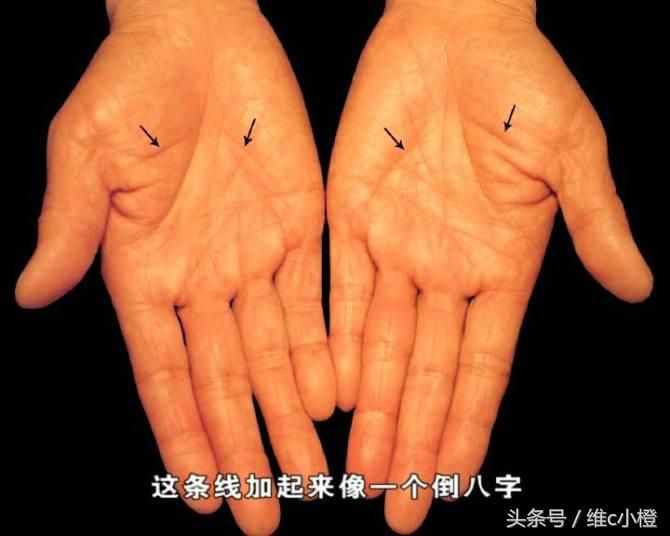 看手相不求人，解析手相秘诀看了你也能掌握身体事业命运和爱情