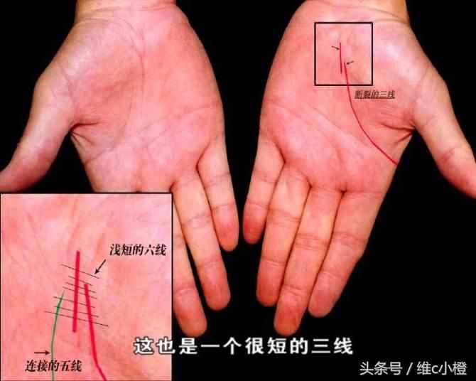 看手相不求人，解析手相秘诀看了你也能掌握身体事业命运和爱情