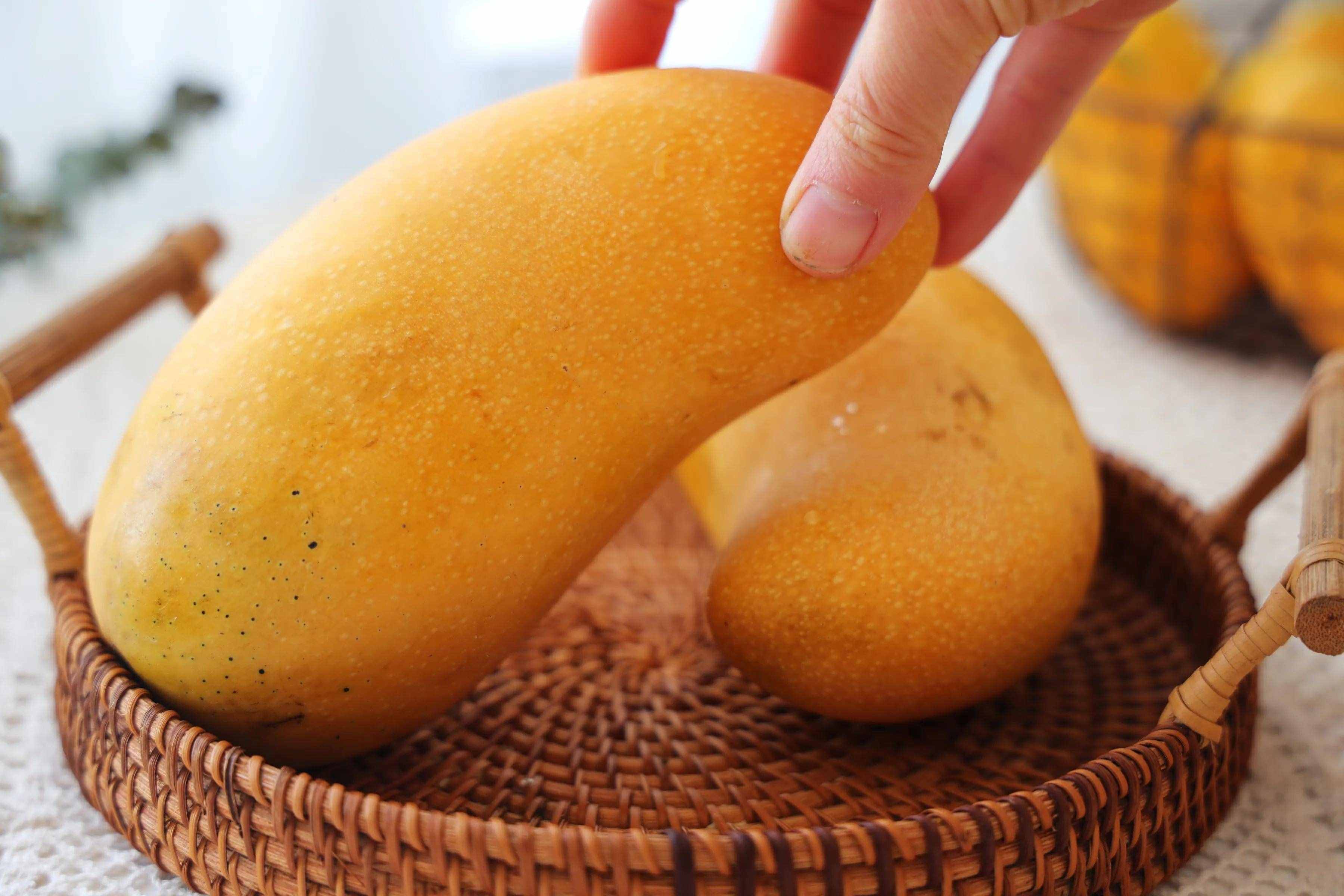 芒果大“比拼”，贵妃芒、金煌芒、台农芒到底哪个更好吃？