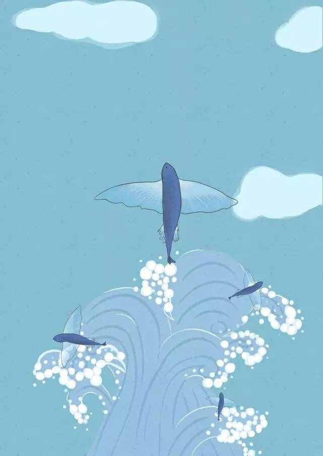 你说暑假要去实习？那这些你一定要知道！