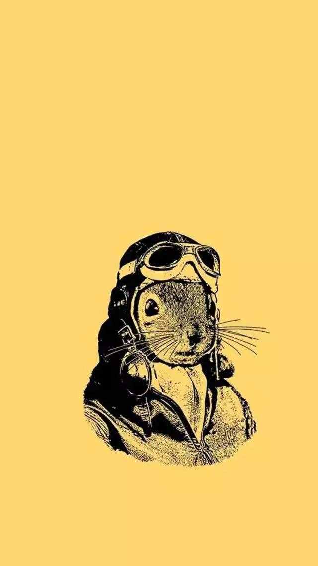 你说暑假要去实习？那这些你一定要知道！