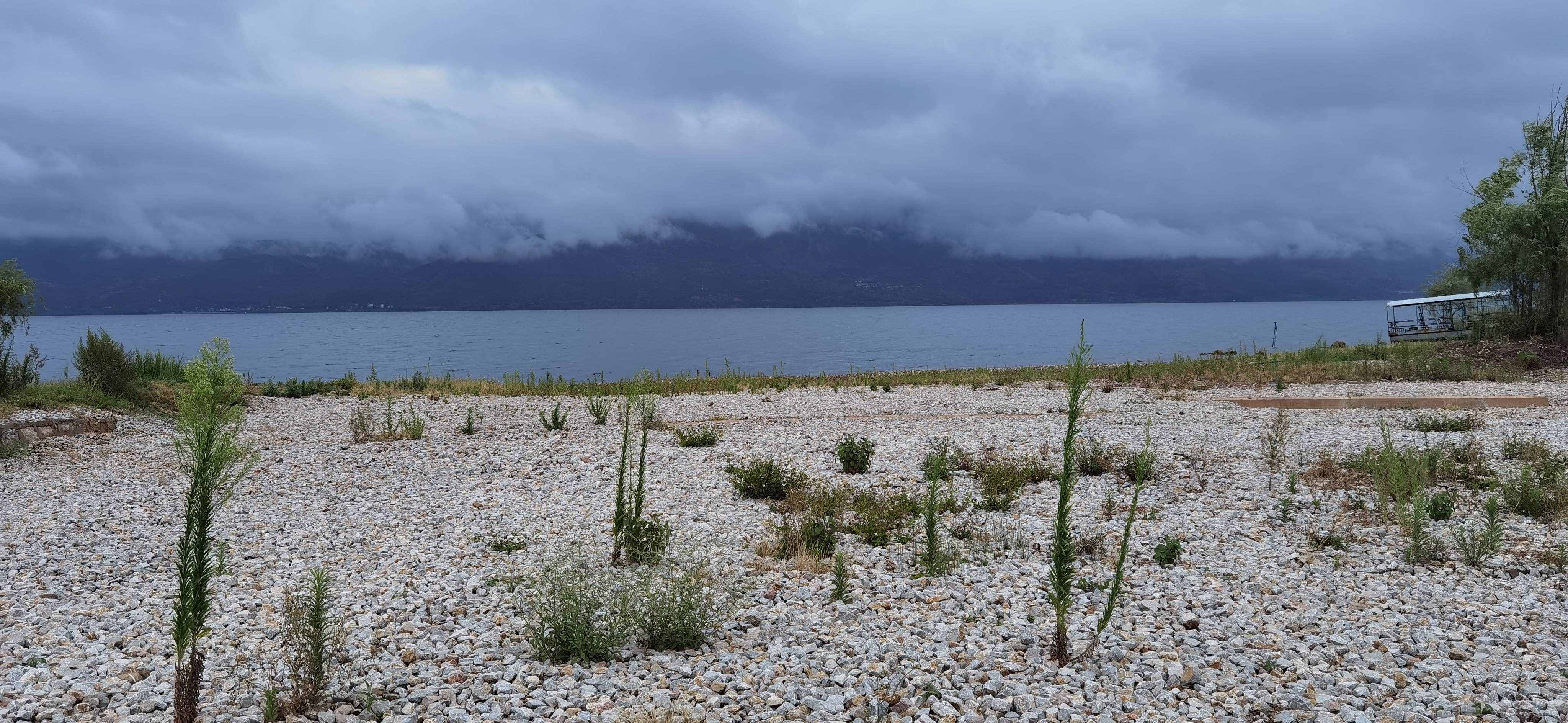50元一天的抚仙湖岸边小客栈，15元一公斤的小活虾，体验农家野趣