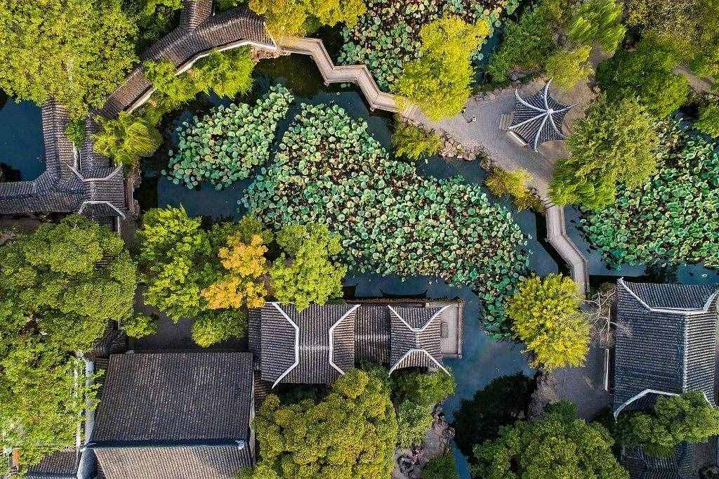 夜话丨叶圣陶：苏州园林