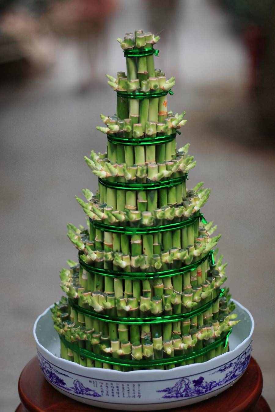 富贵竹养护要点，熟悉它的习性，这几点要注意