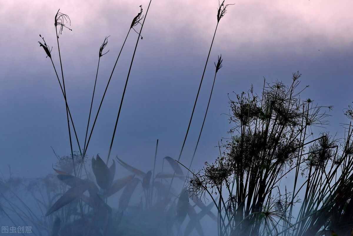 中医基础理论-绪论（三）