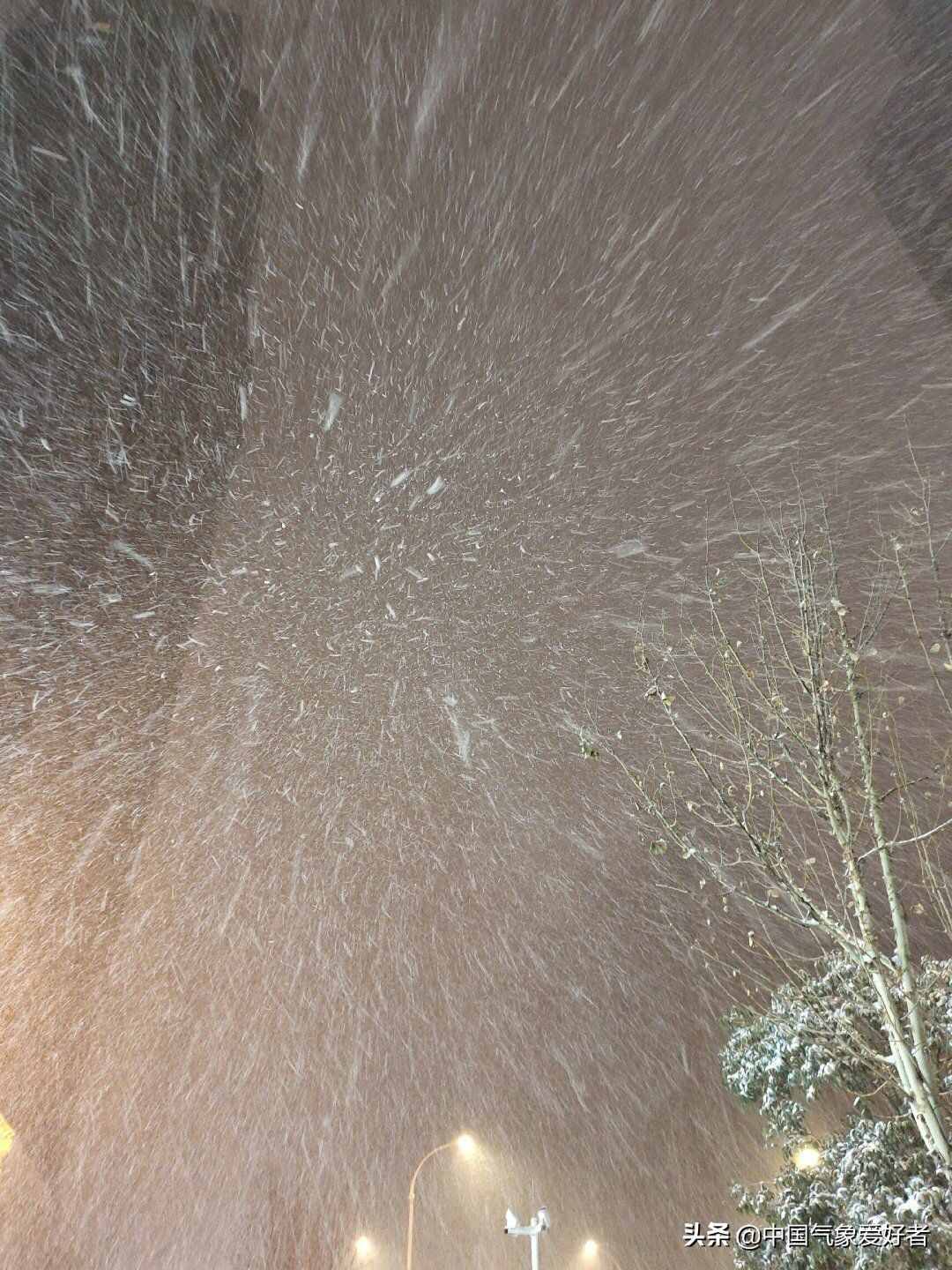 郑州突然雷打暴雪，是人工降雪？权威辟谣：纯天然，总体利大于弊
