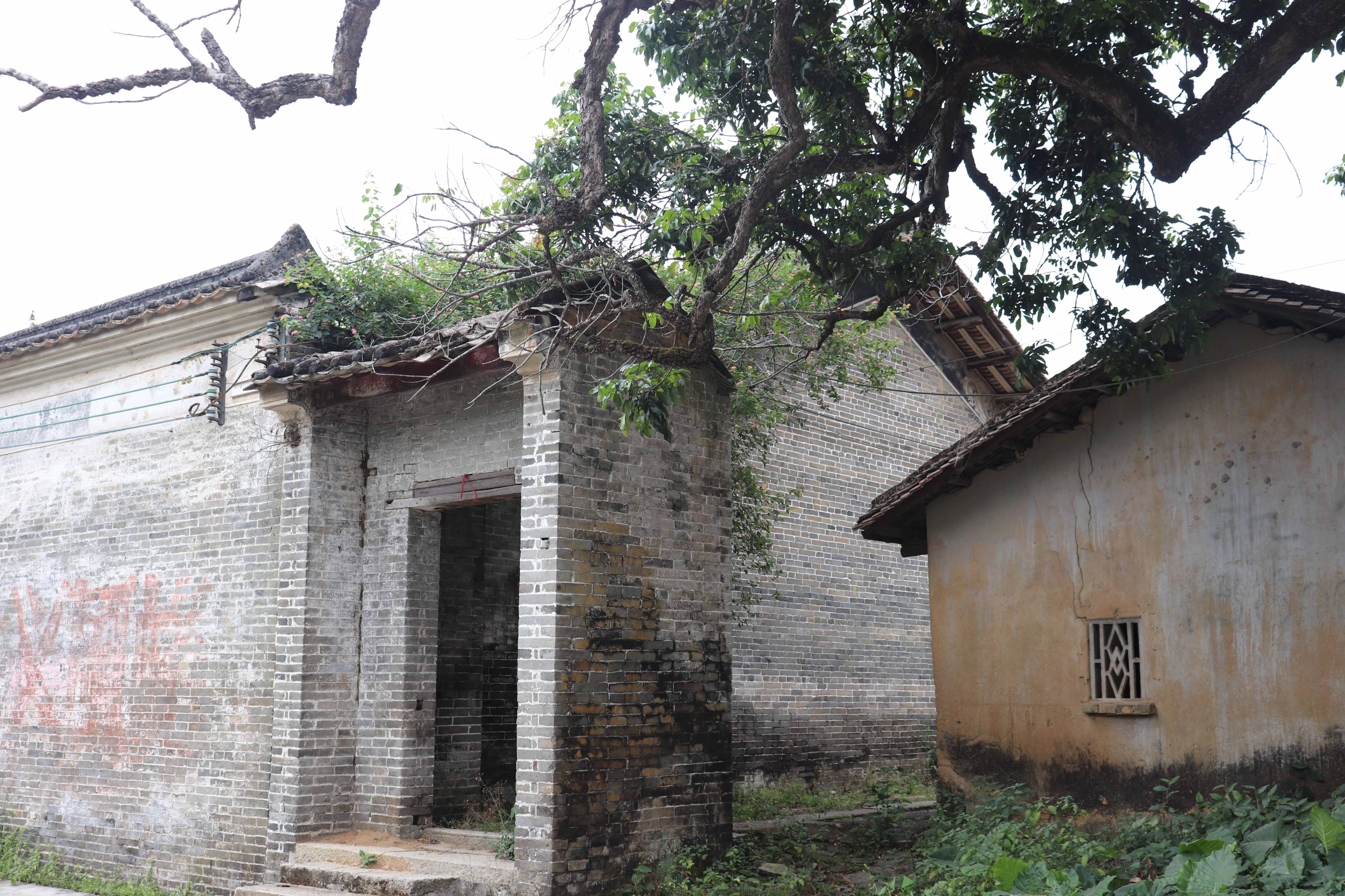 探访从化钟楼古村，隐身都市中的又一座荒村