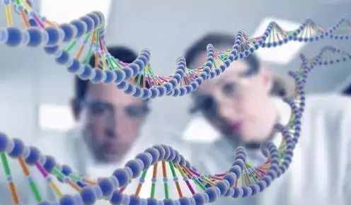 亚麻酸与DHA的关系