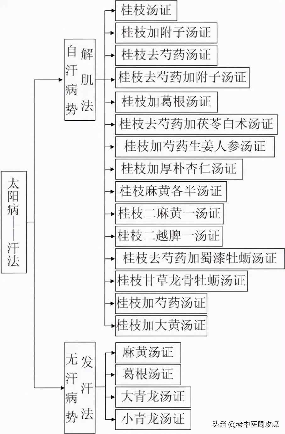 六经辨证治法图解