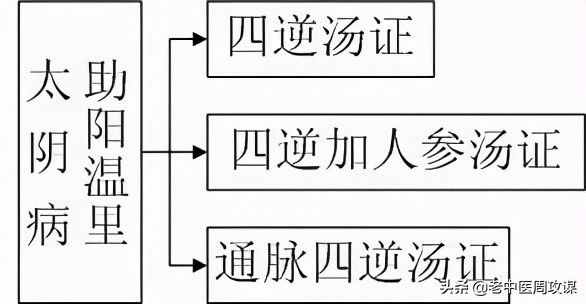 六经辨证治法图解