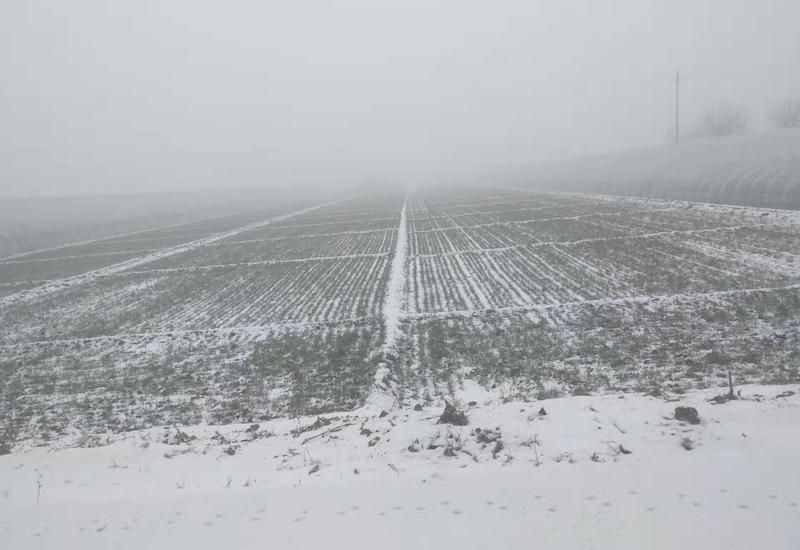 农村俗话说，“雷打冬，十个牛栏九个空”，冬天打雷是怎么会事？