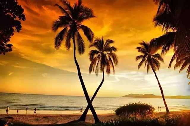 海南19个市县226个旅游景点大全，假期上哪里玩？随你挑