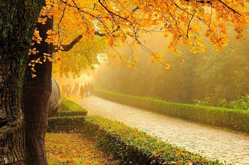 南京旅游别总去夫子庙，这5个景点更值得一去，你都去过吗？