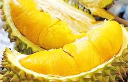 榴莲核的作用有哪些？榴莲核有什么功效值得注意？