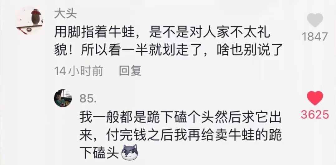 抖音神评论简直绝了！差点笑死在床上
