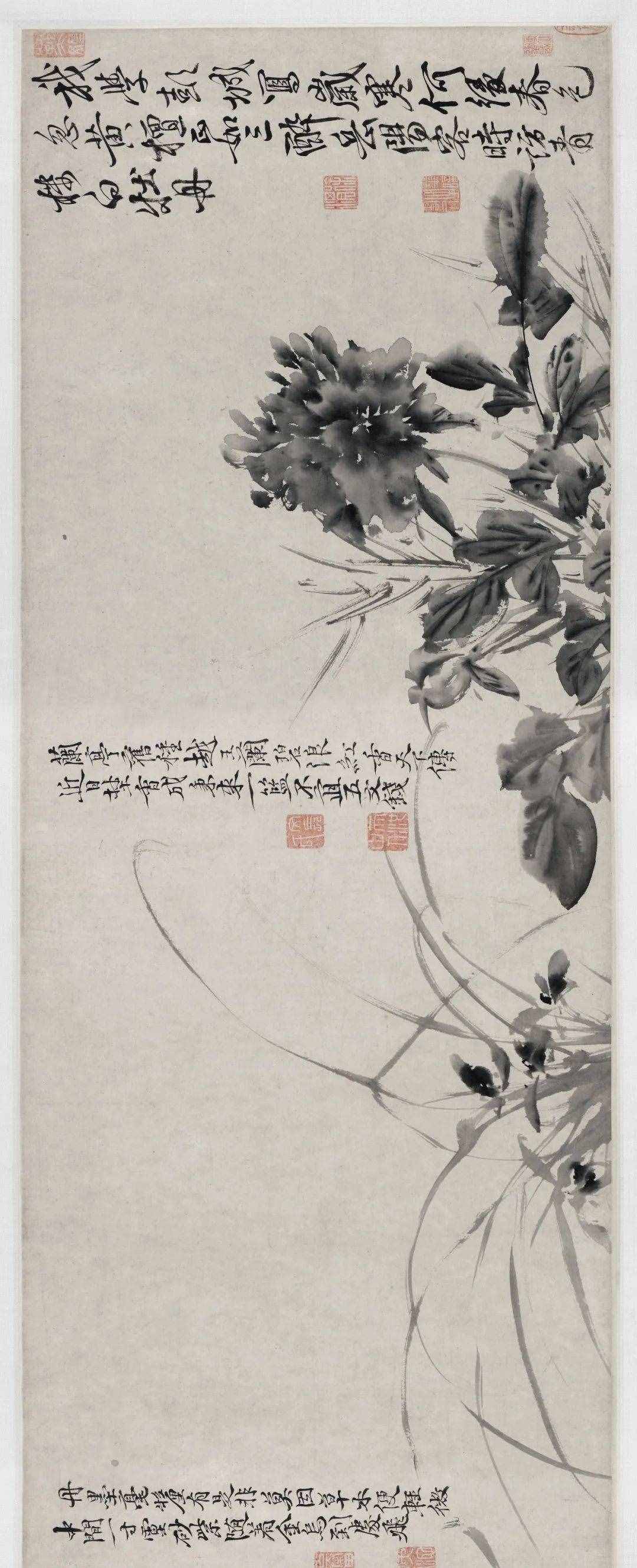 徐渭的墨花，这才叫玩水墨