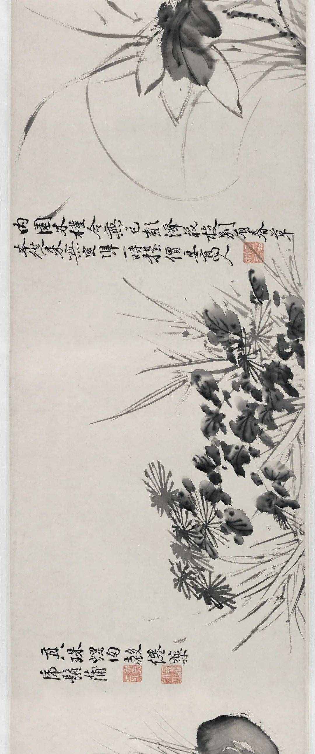 徐渭的墨花，这才叫玩水墨