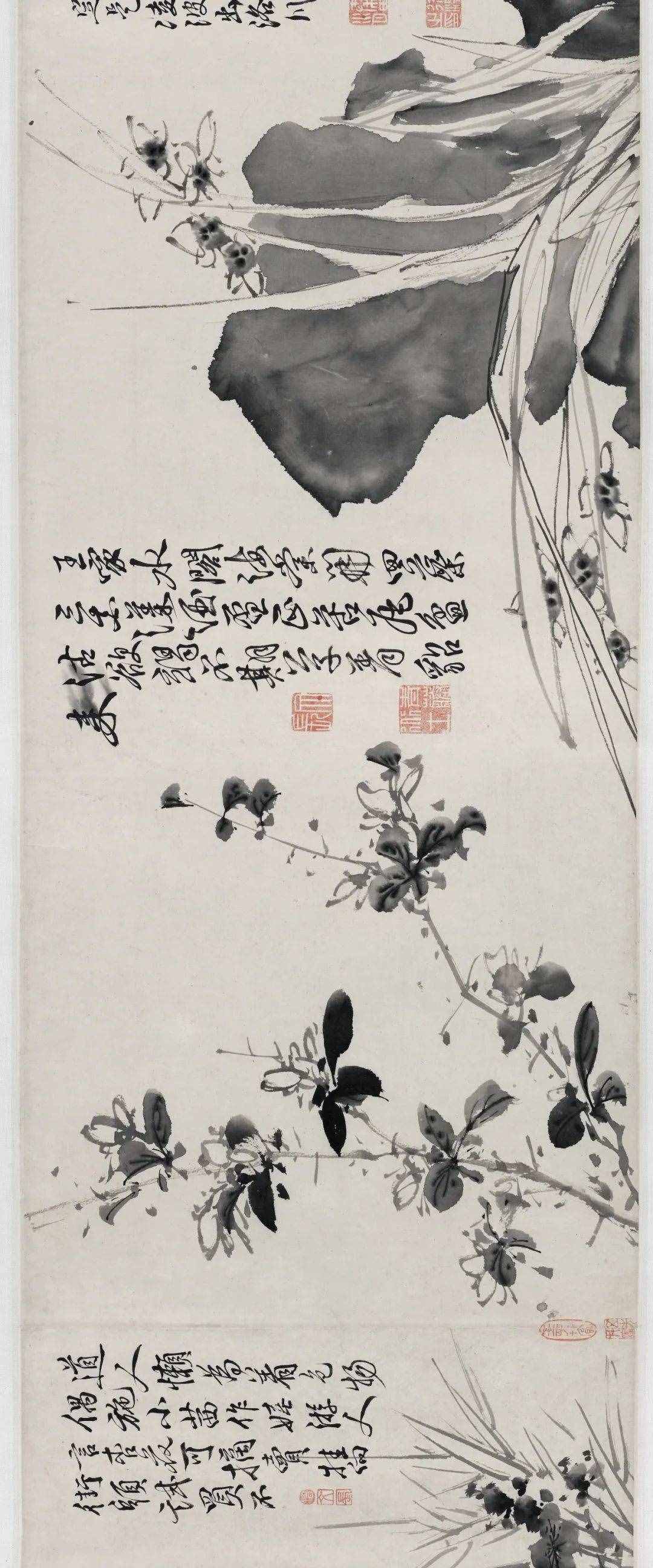 徐渭的墨花，这才叫玩水墨