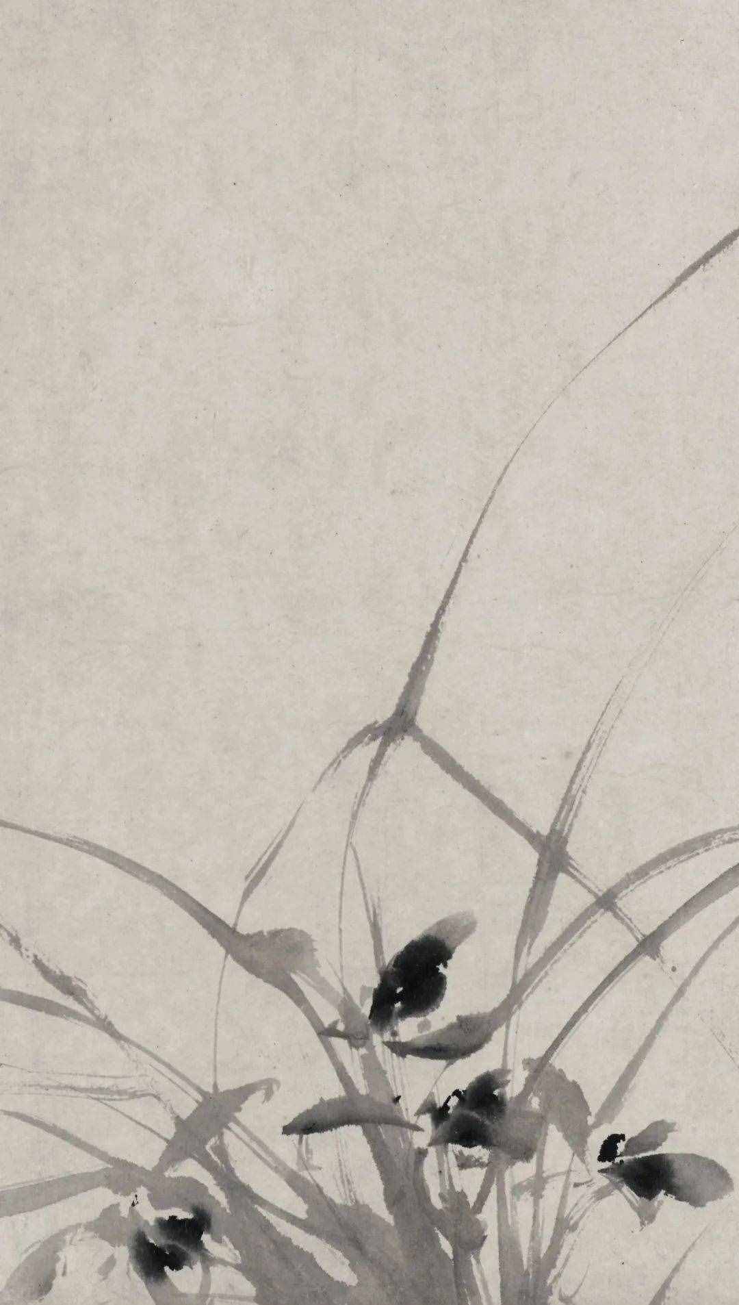 徐渭的墨花，这才叫玩水墨