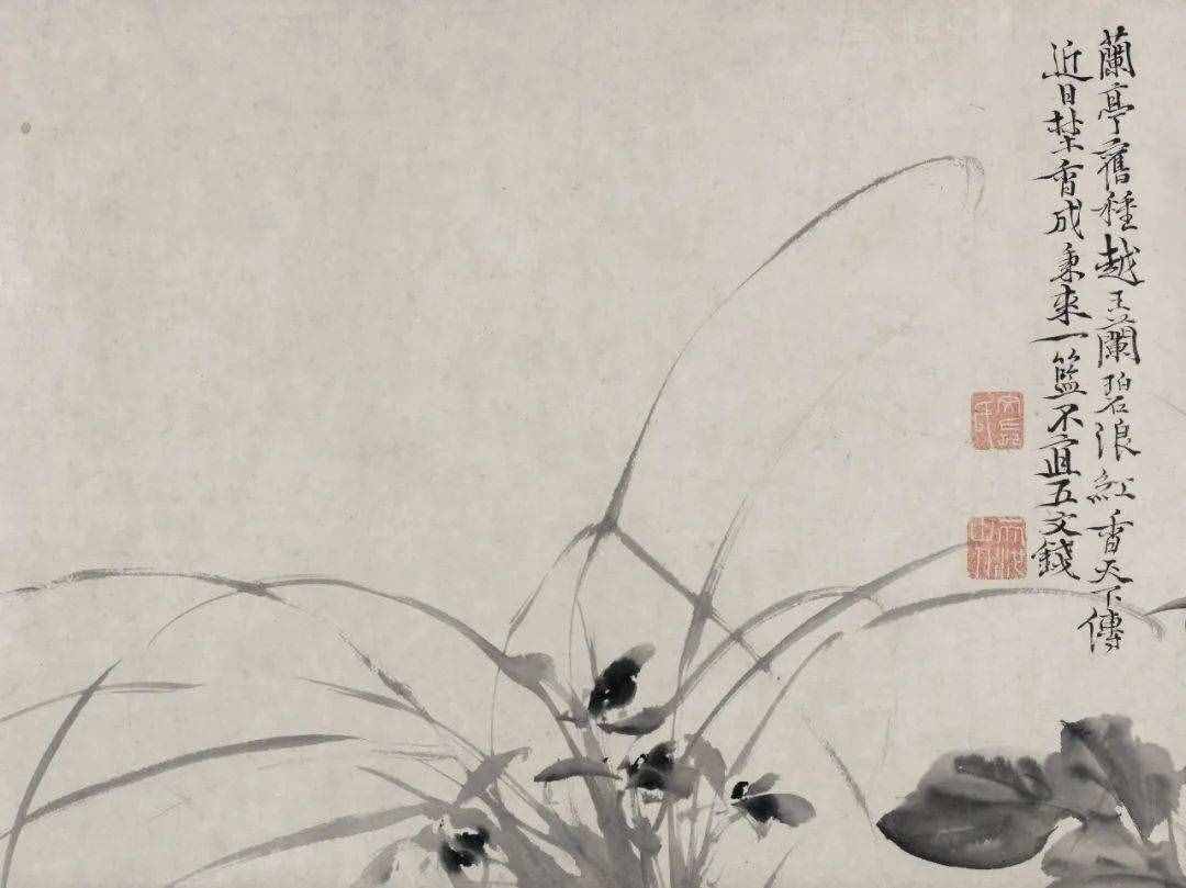 徐渭的墨花，这才叫玩水墨