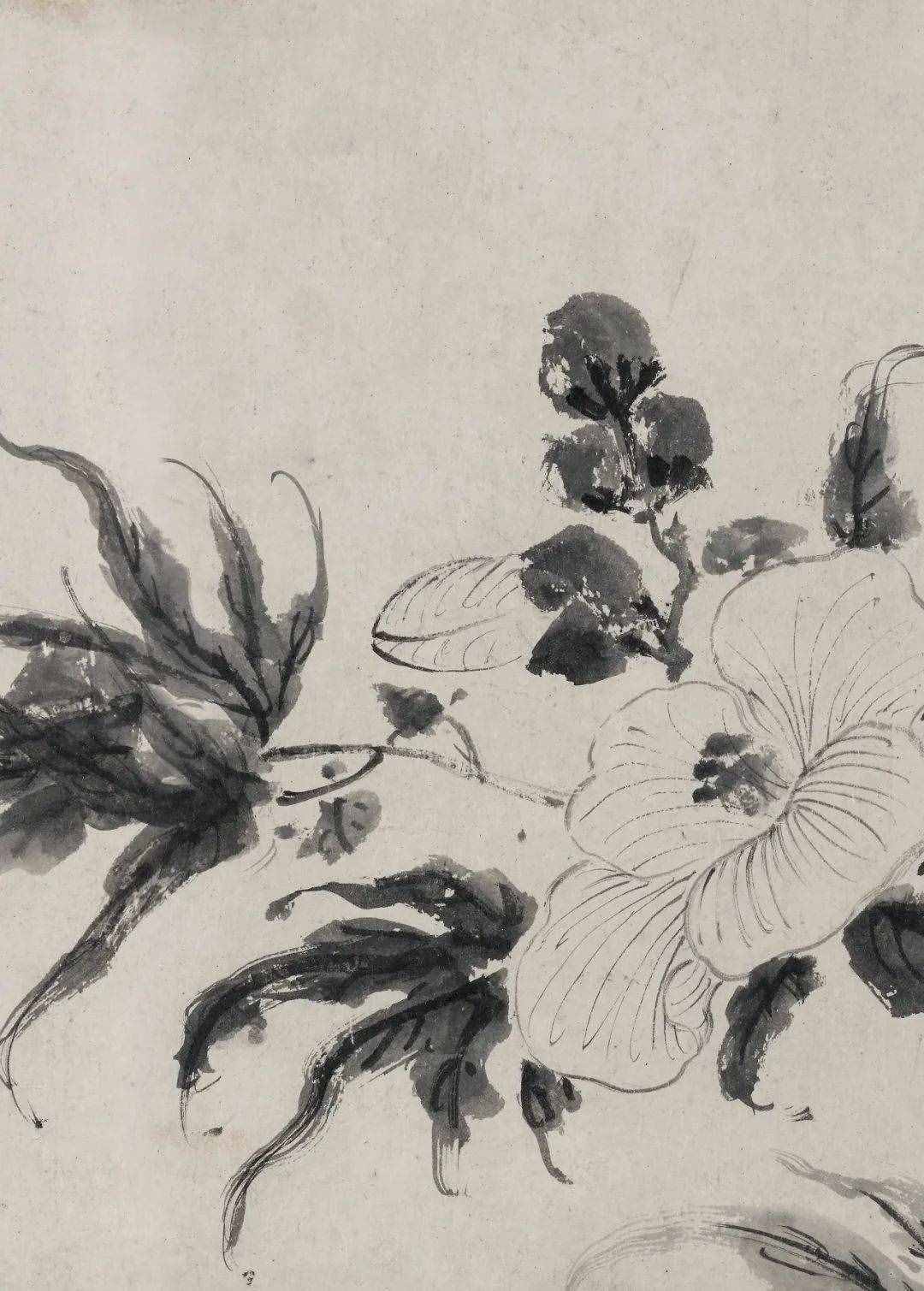 徐渭的墨花，这才叫玩水墨