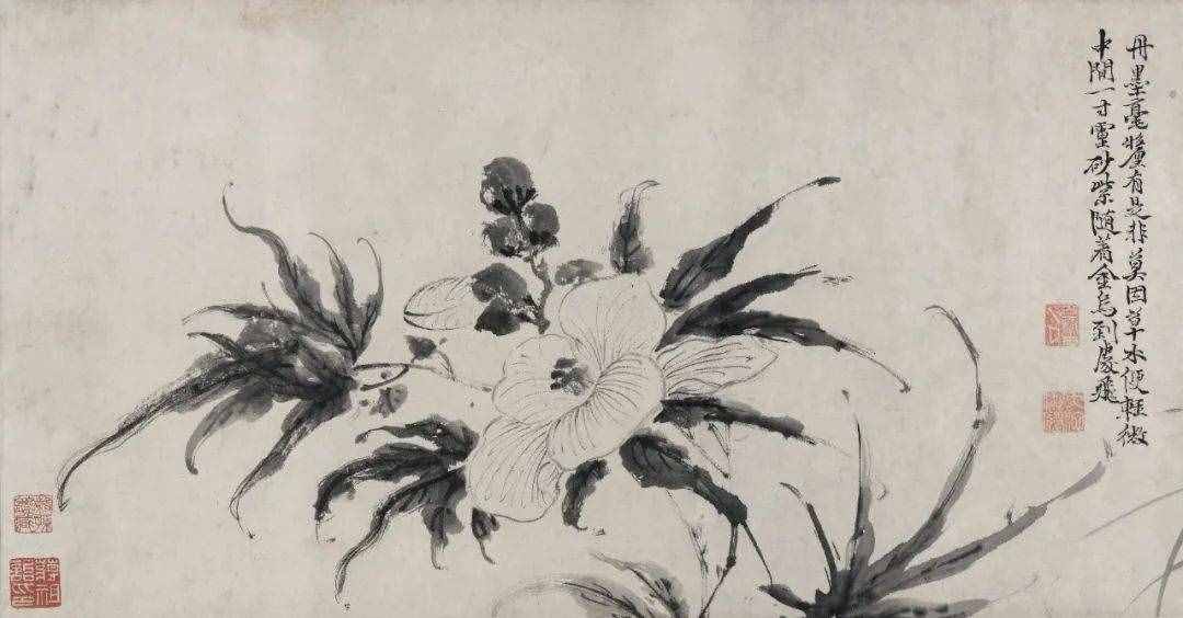 徐渭的墨花，这才叫玩水墨