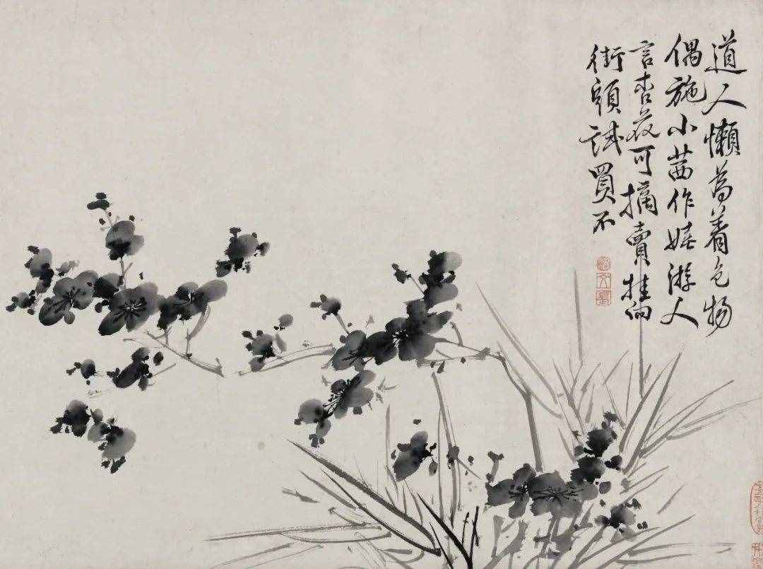 徐渭的墨花，这才叫玩水墨